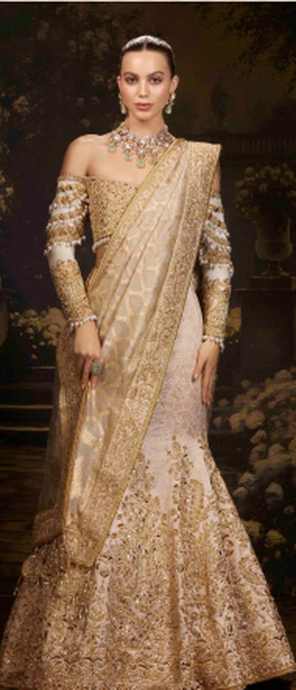 Gold tissue saree with fine surface work